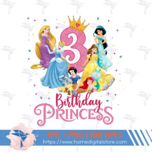 3rd Birthday Girl Princess