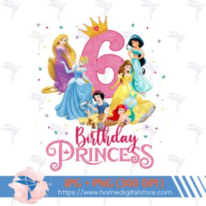 6th Birthday Girl Princess