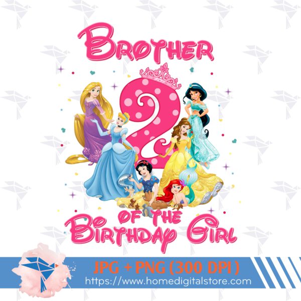 Brother of the Birthday Princess