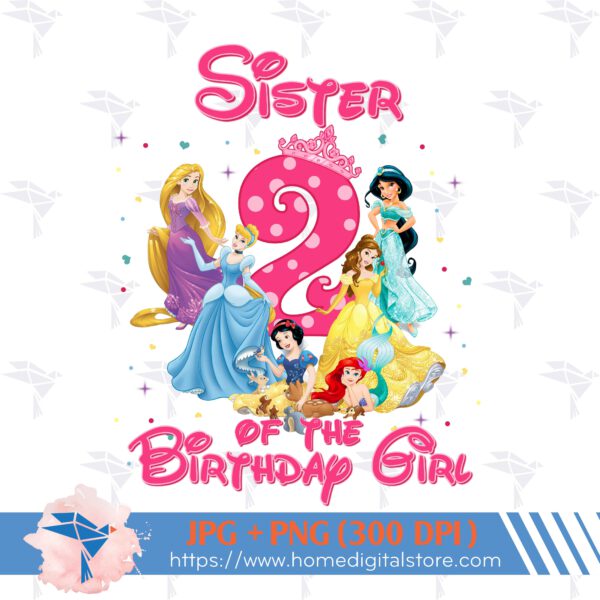 Sister of the Birthday Princess