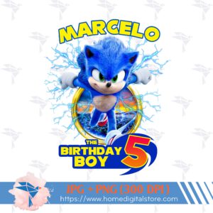Birthday Boy Sonic