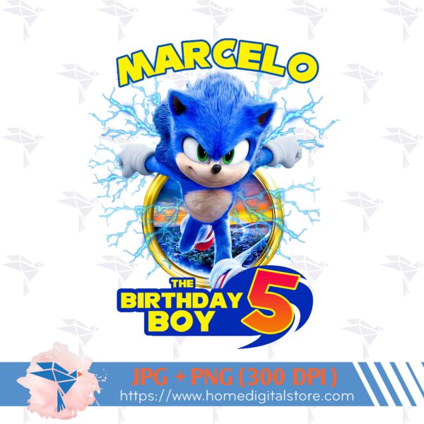 Birthday Boy Sonic