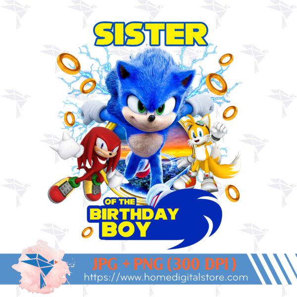 Sister of the Birthday Boy Sonic