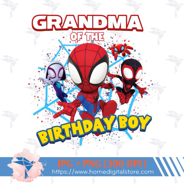 Grandma of the Birthday Boy Spidey