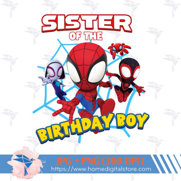 Sister of the Birthday Boy Spidey