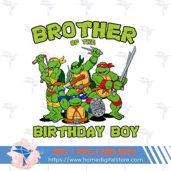 Brother of Birthday Ninja Turtle