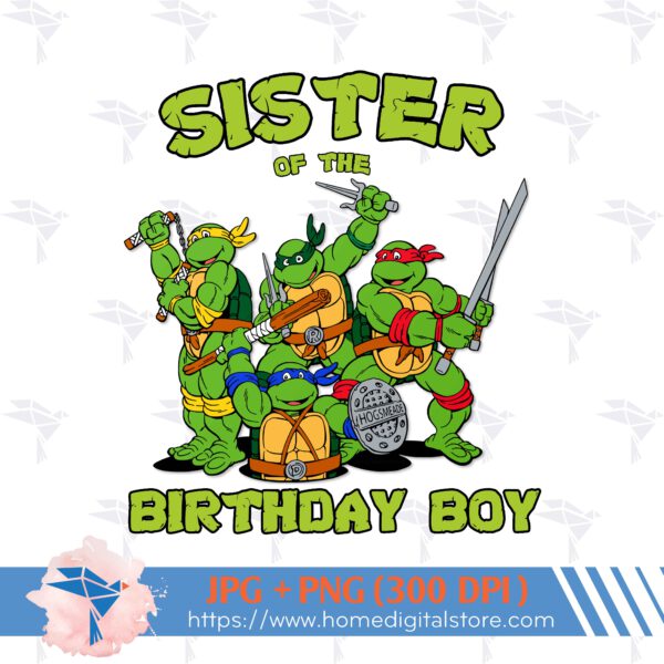 Sister of Birthday Ninja Turtle