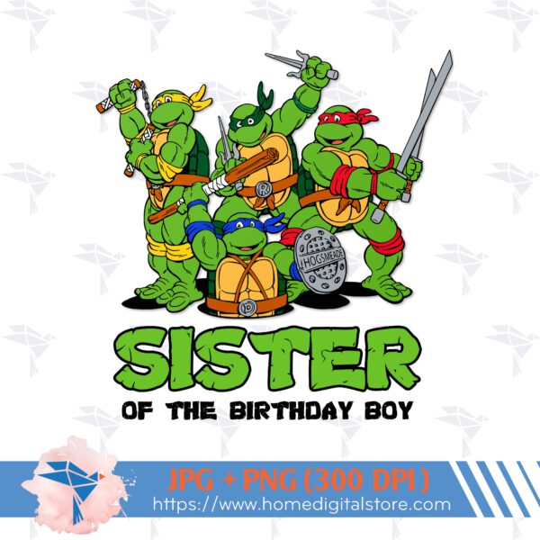 Sister of Birthday Ninja Turtle