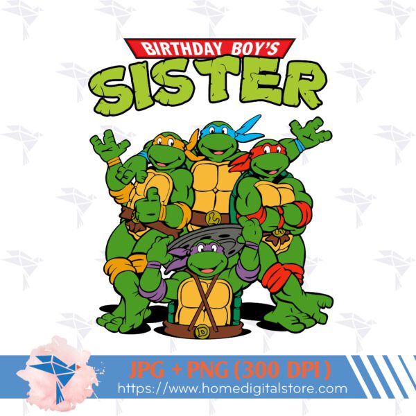 Sister of Birthday Ninja Turtle