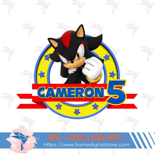 Birthday Boy Shadow Sonic