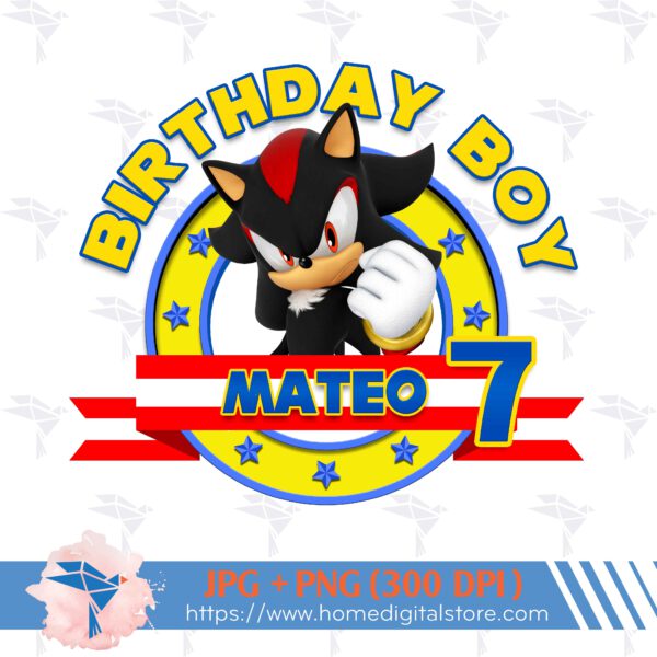 Birthday Boy Shadow Sonic